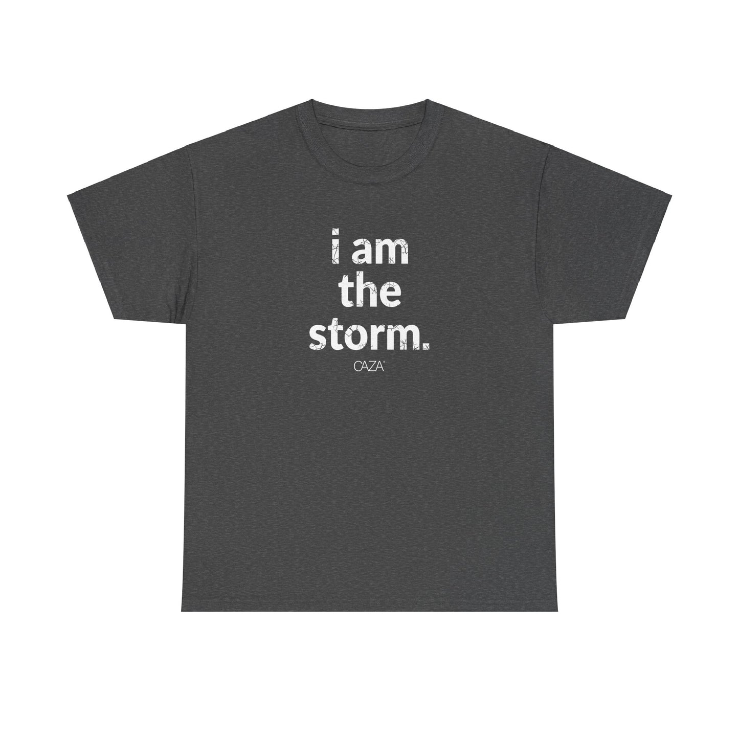 I am the storm | Unisex Tee
