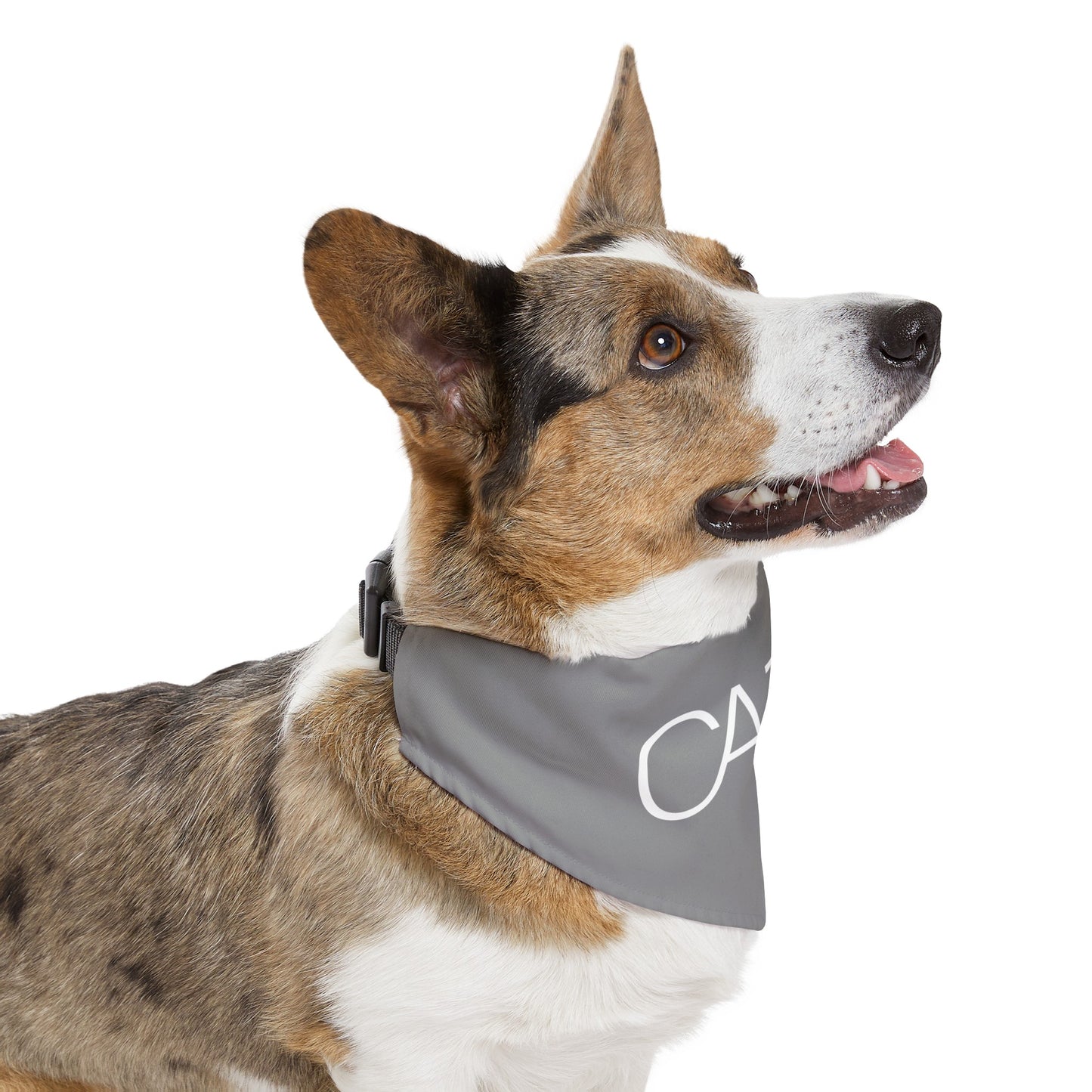 Pet Bandana Collar (Grey)