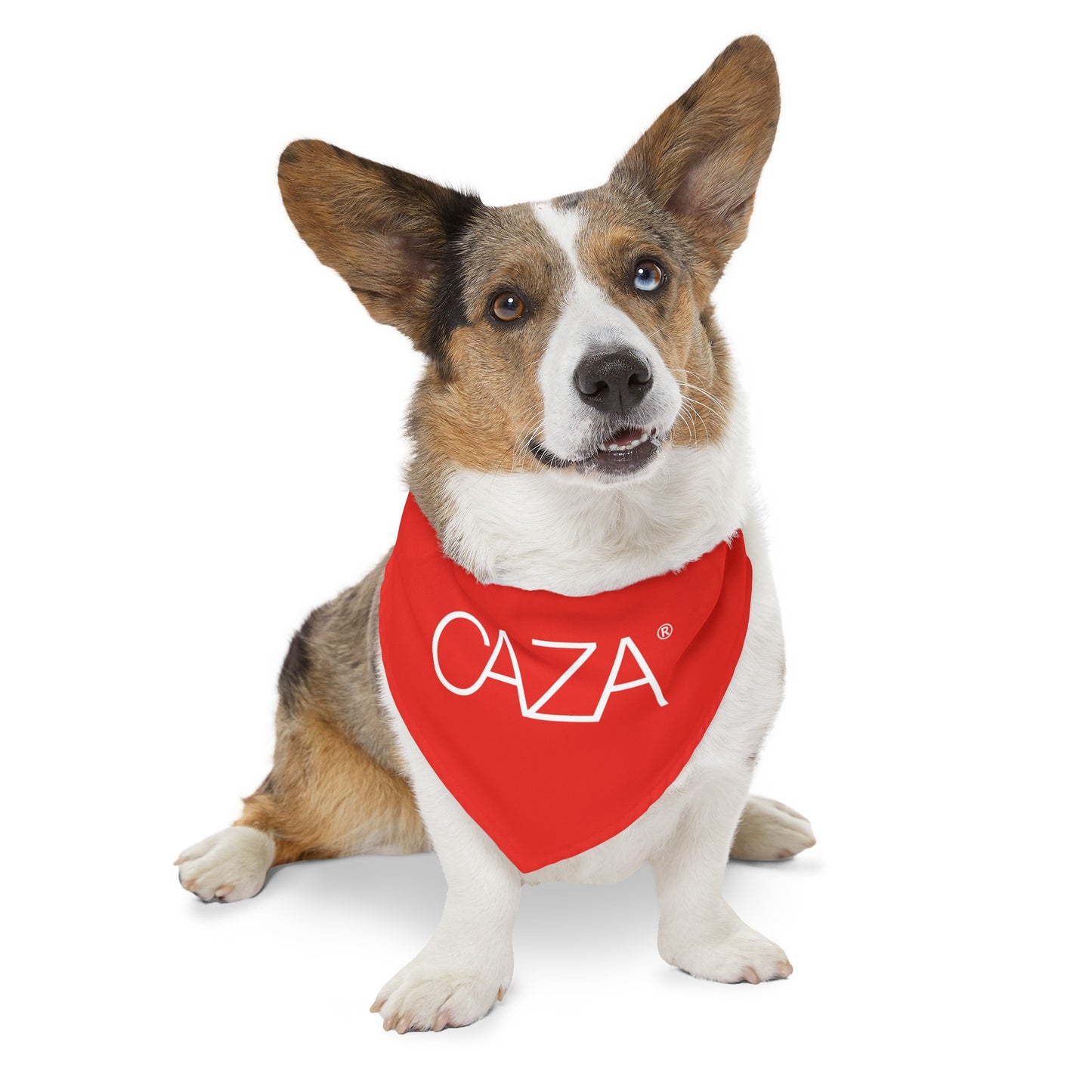 Pet Bandana Collar (Red)