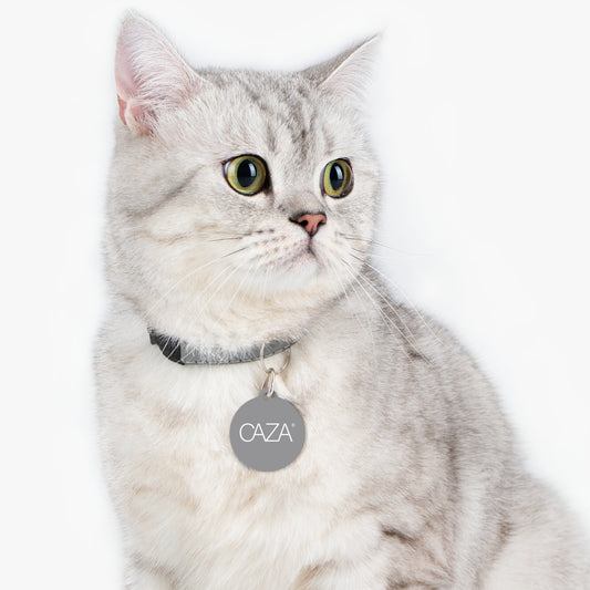 Pet Tag (Grey)