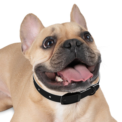 Dog Collar (Black)