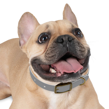 Dog Collar (Grey)