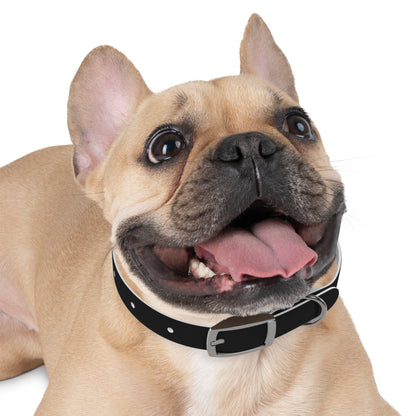 Dog Collar (Black)